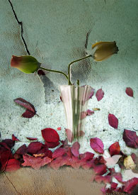 ������(BL/��ū/΢SM)