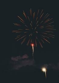 ��һ��СѾͷ