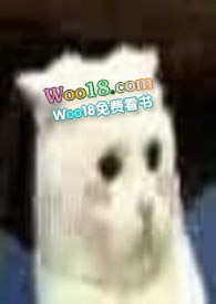 ����һֻè�󣨸�h��