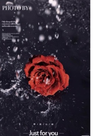 õ�廨�����ֲᣨ�������ͬ�ˣ�